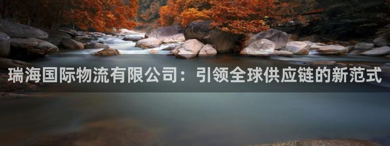 28圈注册网址：瑞海国际物流有限公司