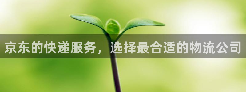 28圈pg麻将胡了2老是空转：京东的