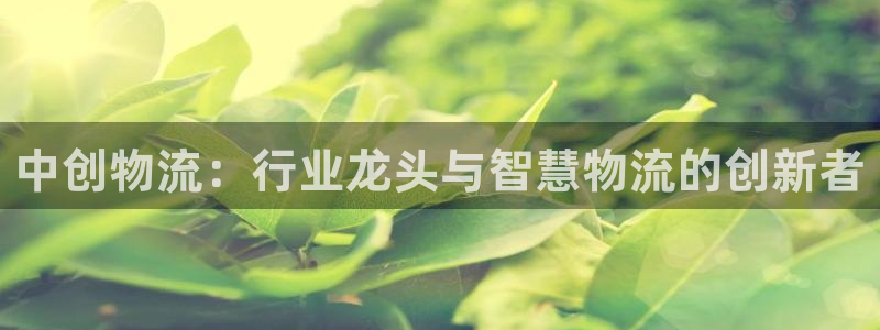 28圈新用户怎么注册：中创物流：行业
