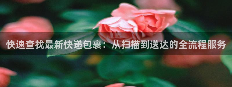 28圈官网下载链接是什么网站：快速查