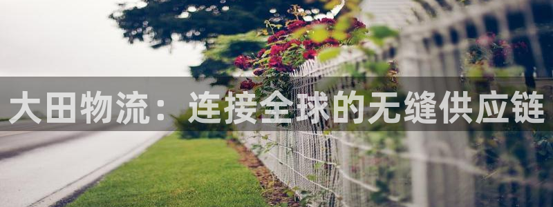 28圈p扣除：大田物流：连接全球的无缝供应链