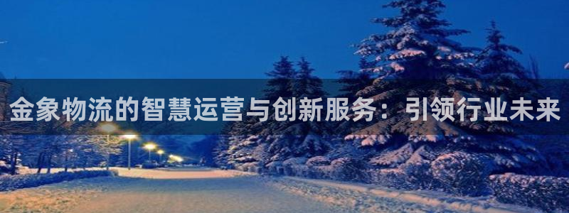 28圈能提现吗：金象物流的智慧运营与