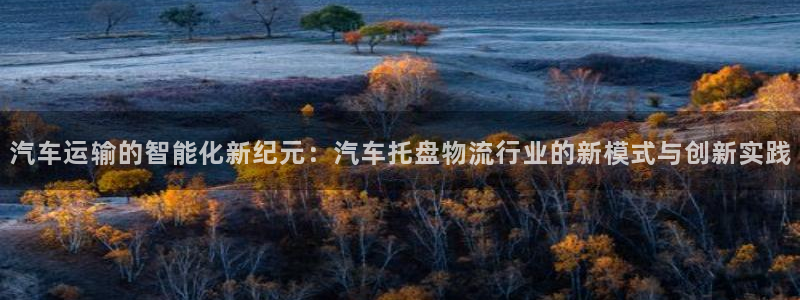 28圈注册限制怎么解除：汽车运输的智
