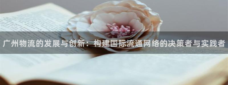 28圈充值为什么充不了：广州物流的发