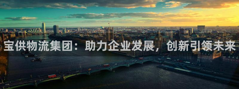 28圈注册网页：宝供物流集团：助力企业发展，创新引领未来