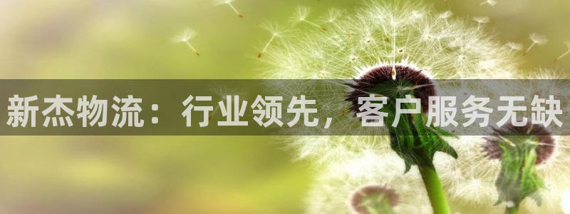 28圈登录网：新杰物流：行业领先，客户服务无缺