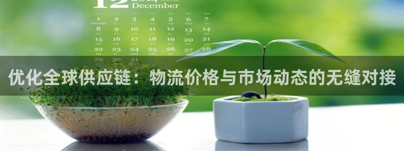 28圈黑平台吗：优化全球供应链：物流
