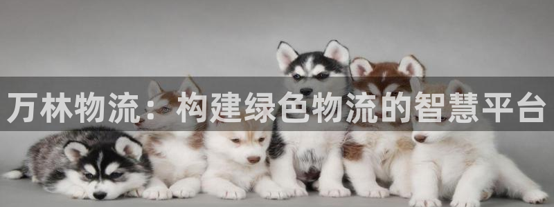 28圈充值不处理会怎么样