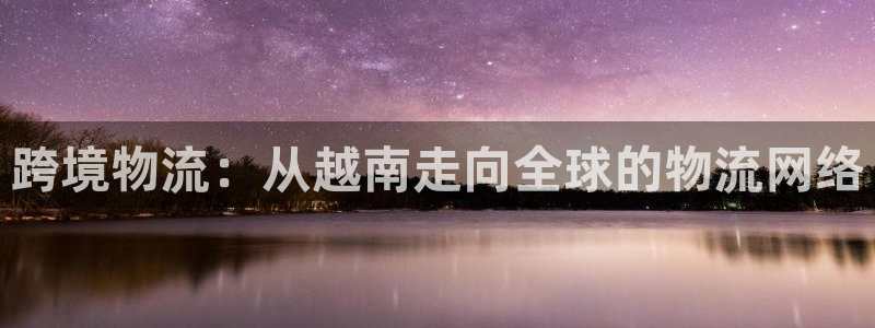 28圈注册网址百度知道：跨境物流：从越南走向全球的物流网络