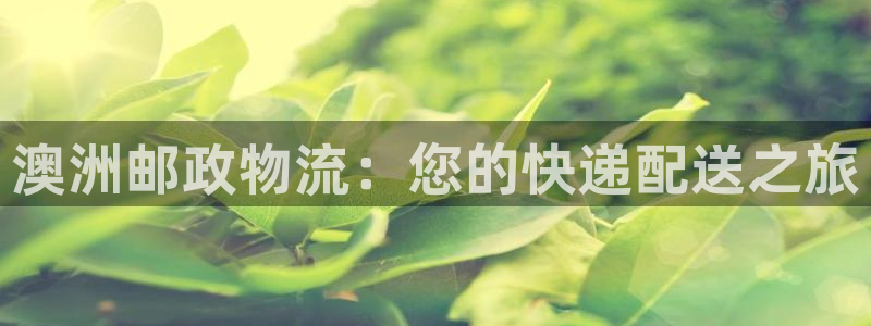 28圈p扣除是什么意思