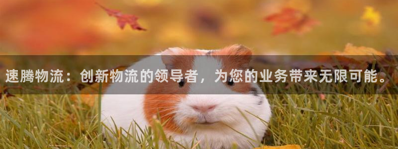 28圈为什么没有赢过一次