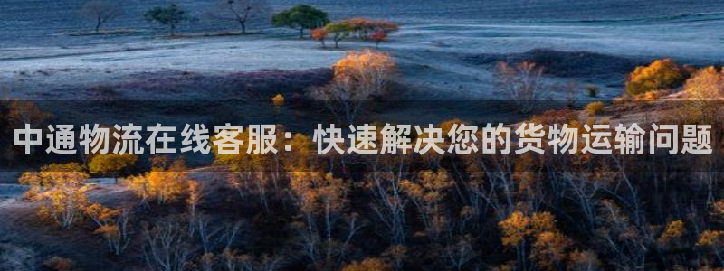 28圈为什么打不开：中通物流在线客服