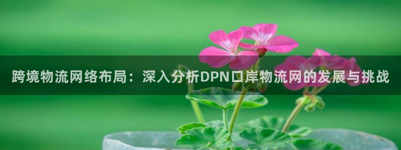 28圈比特28预测在线预测