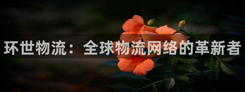 28圈娱乐官网网页入口