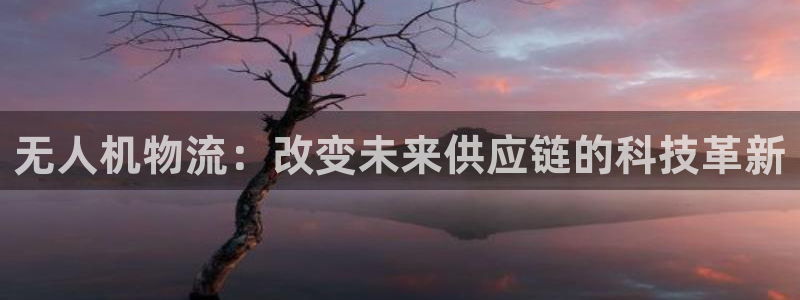 28圈下载二维码怎么弄：无人机物流：
