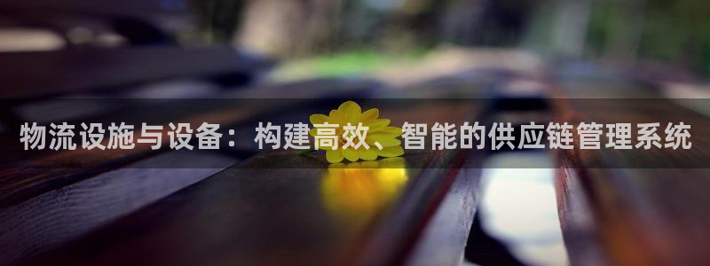 28圈返水怎么算的：物流设施与设备：