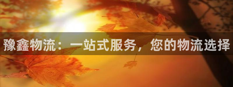 28圈注册过了警察知道吗：豫鑫物流：