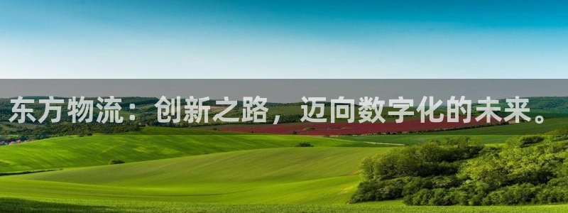 28圈为什么打不开：东方物流：创新之路，迈向数字化的未来。