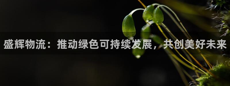 28圈是啥